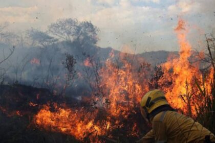 Altas temperaturas podrían desencadenar incendios forestales en al menos ocho estados
