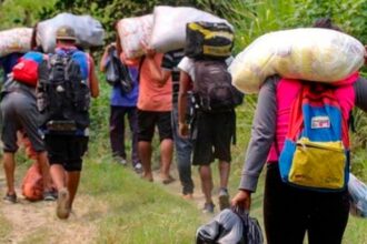 SIGUE EL DRAMA MIGRATORIO | Más de 100.000 venezolanos cruzaron el Darién en el primer semestre de 2023