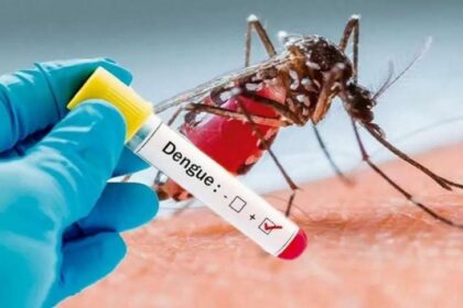 "Hay un aumento de casos de dengue, sin lugar a duda", así lo señaló este miércoles 6 de marzo el médico infectólogo, Julio Castro.