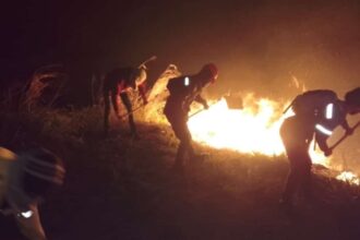 Al menos siete personas han sido detenidas por los incendios registrados en el Parque Nacional Parque Henri Pittier (Aragua)
