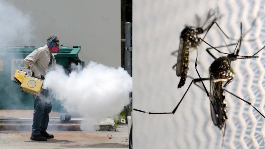 Florida lidera los casos de dengue registrados en Estados Unidos en lo que va de 2024. Esto, según los datos suministrados