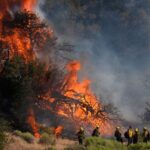 El arrasador incendio, conocido como el Post Fire, obligó la evacuación de a al menos 1.200 personas en Los Ángeles (EEUU)