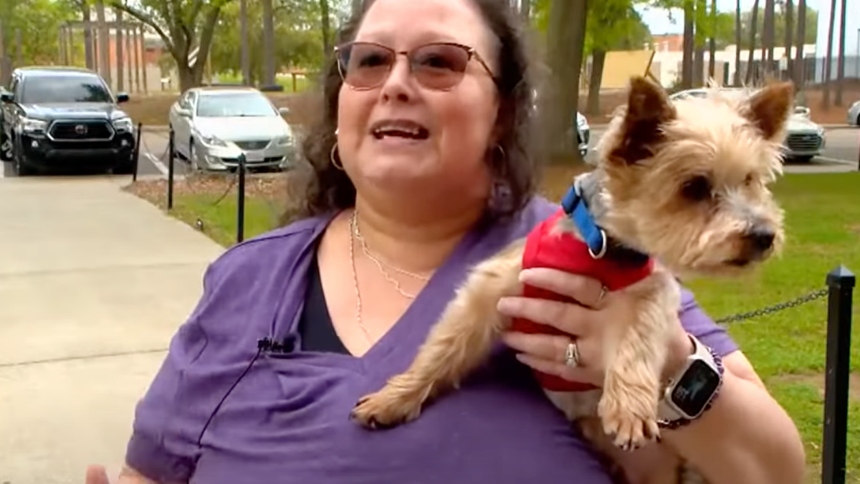 La historia de Kingston, un perrito raza Yorkshire Terrier, ha conmovido a muchos en EEUU al convertirse en un símbolo de esperanza y perseverancia.  