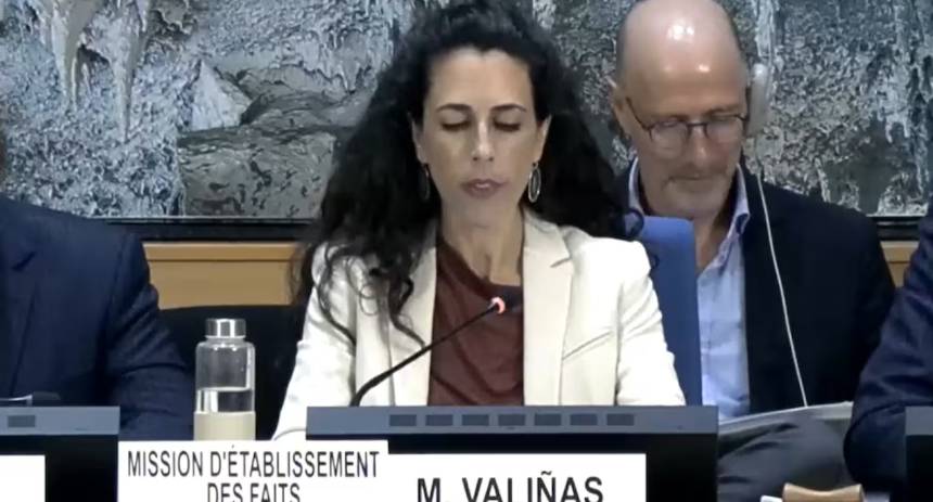Misión