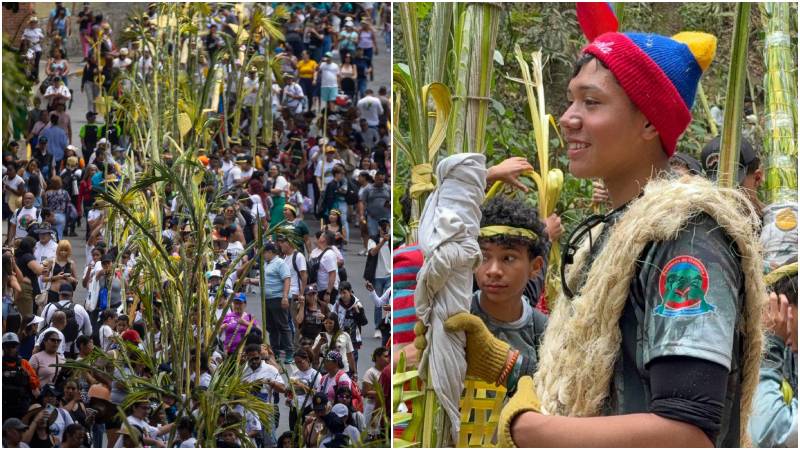 VIDEO: Los palmeros de Chacao volvieron de la montaña con las palmas del Domingo de Ramos