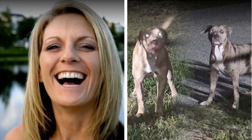 Pitbulls atacaron a una mujer.