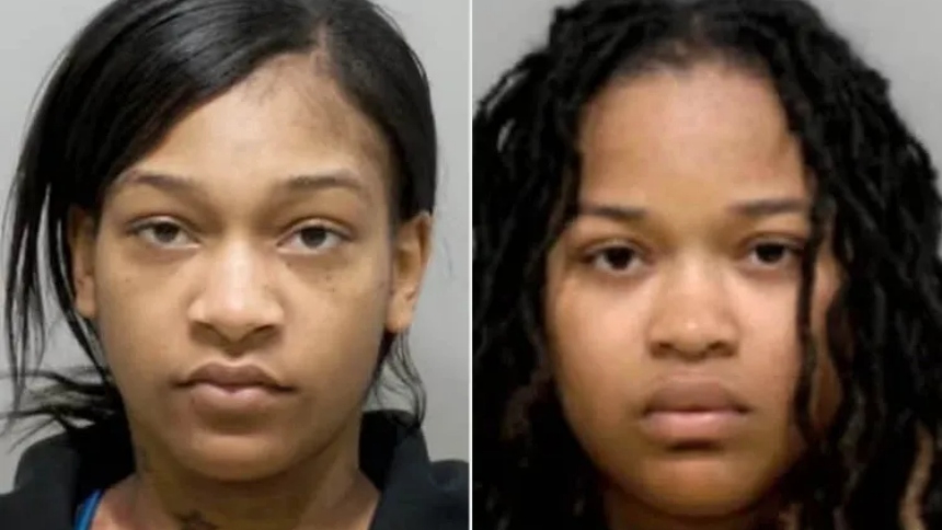 Una mujer que tenía nueve meses de embarazo y su hermana fueron acusadas de protagonizar una violenta agresión contra una empleada de un restaurante de pollo en Detroit (EEUU), luego de recibir presuntamente un pedido de comida equivocado.  