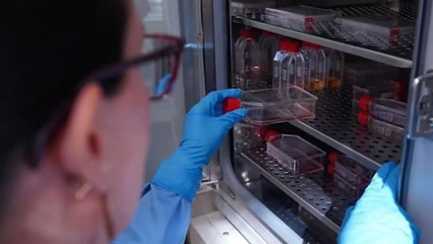 EN ESPAÑA: Diseñaron 'tijeras moleculares' que lograron frenar el VIH en células infectadas