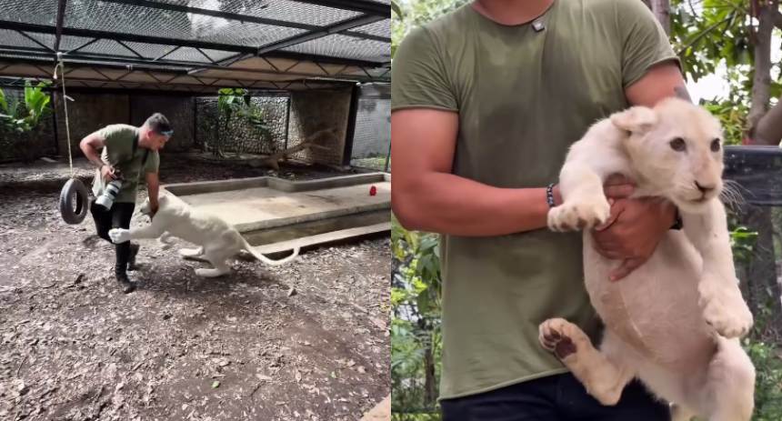 Zoológico