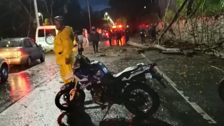 EN FOTOS: Árboles cayeron en la Autopista Gran Cacique Guaicaipuro a la altura de Antímano y ocasionaron congestión vehicular