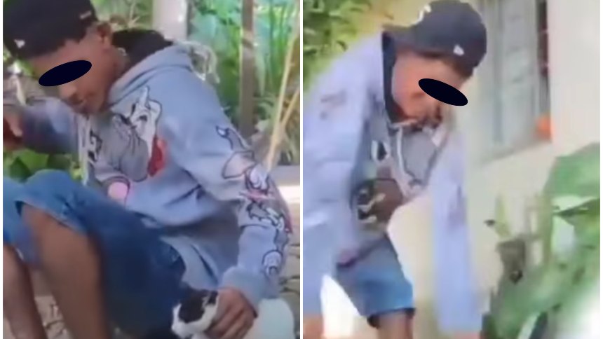 Através de las redes sociales en el estado Zulia, el maltratador del gatito fue identificado como Leandro García. Fotos capturas de video Instagra, de 911animales.