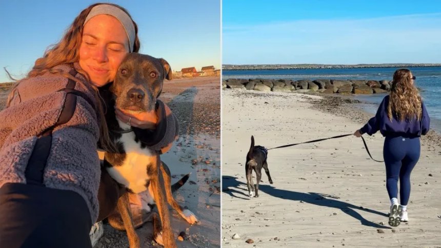 La maestra se aburrió de dar clases y comenzó a pasear perros, ganando miles de dólares al mes. Fotos RRSS Kaitlyn Ballard.