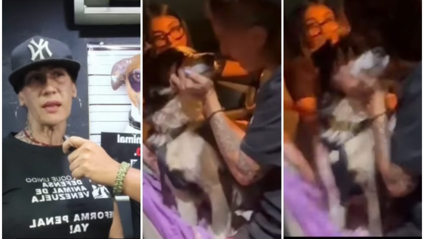 El perrito sacrificado estaba ciego y ya era anciano. Fotos capturas de pantalla RRSS de Robert Lobo.